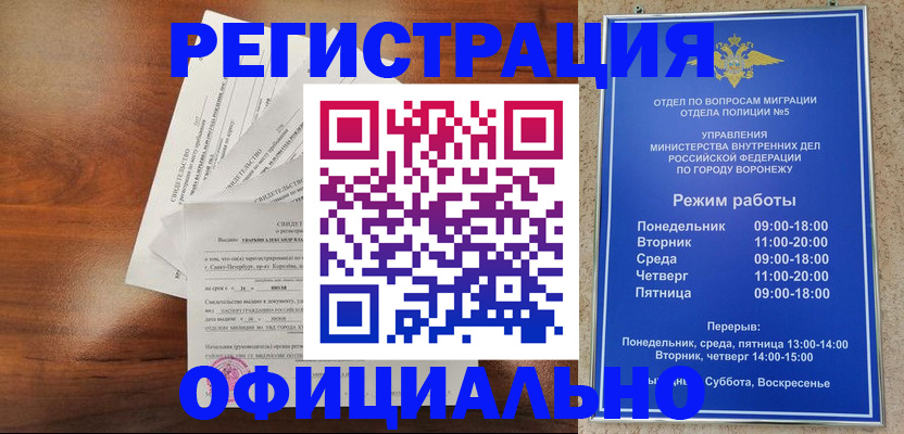 прописка поиск в Курской области